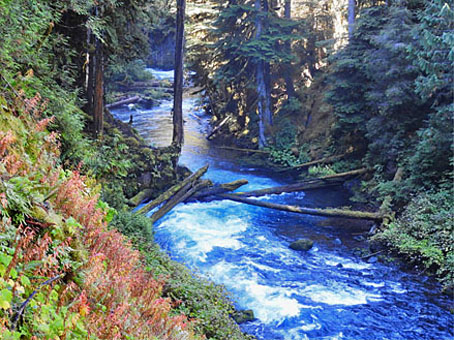 blue Mckenzie River graphic